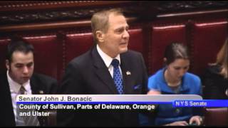 New York State Senate Session - 06/20/14