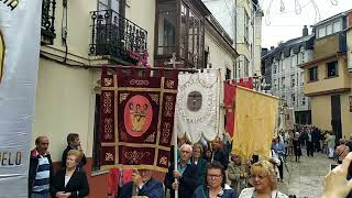 Estandartes en la procesión de O Cristo