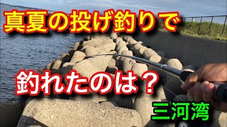 真夏の三河湾テトラ 投げ釣りで釣れたのは？ダイソー振り出しロッド