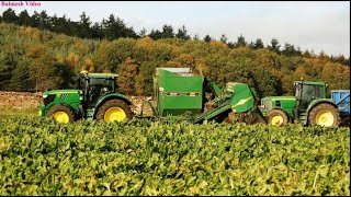 Fodder Beet Harvesting with John Deere and Armer Salmon/