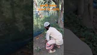 মুরুব্বী কামডা করলো কি | ফানি ভিডিও#comedy #tiktok #funny #fun