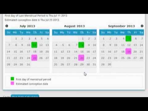Online conception calculator Online conception calculator