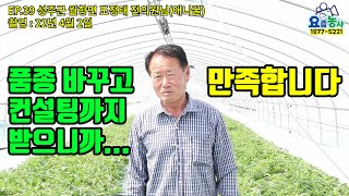 바꾼 참외품종 중간평가 - 성주 월항면 도정태 (전)의원님