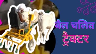 बैल चलित ट्रैक्टर Bullock Driven Tractor #india #madeinindia #bullock #tractor #rural #farmer