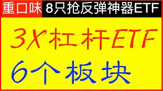 美股暴跌 你暴力抢反弹的工具准备好了吗 ？ 6个热门板块的8只杠杆ETF抄底｜  美国股市投资理财攻略  ｜区域性银行 生物科技 大油公司 中国互联网巨头 金融 科技成长股暴跌 价值股回归