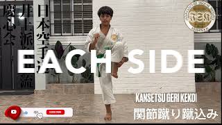 Kansetsu Geri Kekomi(Trust) 関節蹴り蹴込み #shihanjuliomartinez #usakarate #news #karate #cobrakai