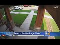 Porch Pirate Captured On Video Stealing Pet Supplies