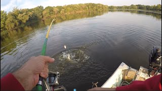 Channel catfishing with a bobber