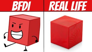 BFDI Characters in Real Life