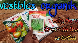 #agriculture# ఆర్గానిక్ కూరగాయ గింజలు #పెట్టడం జరిగింది# ప్లీజ్ వీడియో ఓపెన్ చేసి చూడండి########