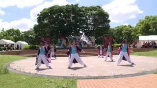 名大祭らんまつり２０１４　【梅波冴】