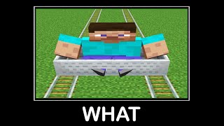 WAIT WHAT (Minecraft) #77
