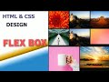 UI Design(4)  Responsive Image Gallery Using Flexbox HTML & CSS Code.