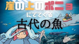 【裏設定考察】ポニョは人魚姫の話ではないかもしれない【古生物とジブリ】