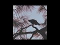 Anime Aliens- Reflections on the Imminent Death of My Father (Full 2024 Free Jazz/Avant Garde Album)