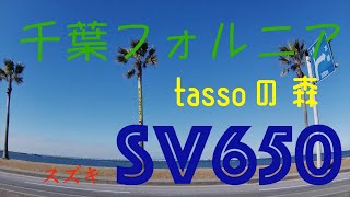 【モトブログ動画】SV650×(千葉フォルニア+青空のヤシの木)+(序の口ラーメン×tassoの森)+空中浮遊物体？＝未確認なバイクライフ【千葉観光】