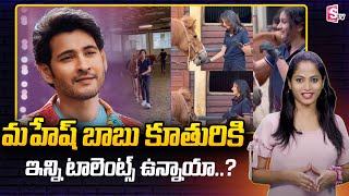 Mahesh babu's Daughter Sitara Horse Riding | గుర్రపు స్వారీ చేస్తున్న సితార | SumanTV Telugu