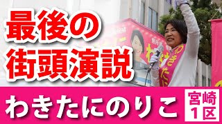 【衆院選】最後の街頭演説【宮崎１区】