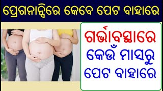 ଗର୍ଭାବସ୍ଥାରେ ପେଟ କେବେ ଓ କେତେ ବାହାରିବା ଦରକାର | Pregnancy belly month by month in Odia Pregnancy Tips