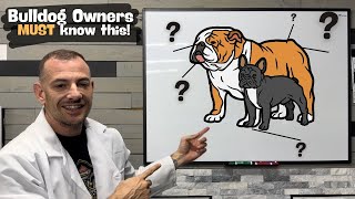 You NEED to know this about your Bulldog, learn these hidden secrets, or else ...