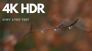 Sony A7Siii HDR Video (Testing for myself, but check it out) 4K HDR