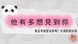 他有多想见到你？只是单纯想见你吗？有别的想法吗？