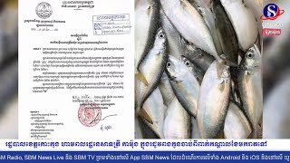 រដ្ឋបាលខេត្តកោះកុង ហាមពលរដ្ឋនេសាទត្រី «កាម៉ុង» ក្នុងរដូវពងកូនចាប់ពីពាក់កណ្តាលខែមករាតទៅ