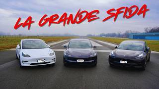 La Sfida delle Model 3 Performance - New vs. Old - LG vs. Panasonic ⚡️Lampi di Tesla