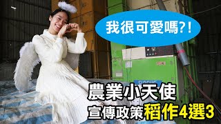 【務農夫婦】第167篇【這一篇幫忙轉傳給你認識有種水稻的農夫們-新政策稻作4選3】