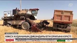 Жетісу облысы Көксу ауданының диқандары егін орағына кірісті