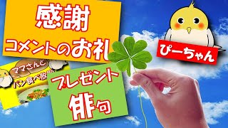 コメントお礼　俳句のプレゼント　感謝の言葉