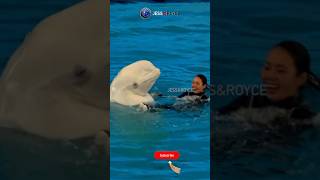Specialities of Beluga whale #shorts