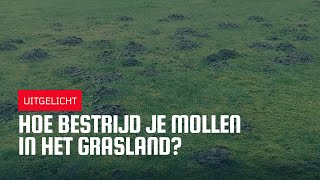 Uitgelicht | Hoe bestrijd je mollen in het grasland?