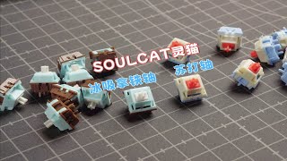 PA12外壳 UPE轴心 | SOULCAT灵猫 冰吸拿铁轴 苏打轴 | 键极客双轴体验