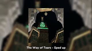 The Way of Tears - Sped up (TikTok version)