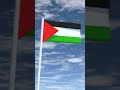 Free Palestine 🇵🇸🇵🇸💪 #sakuraschoolsimulator #fypシ #savepalestine #freepalestine