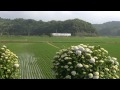 鉄道のある風景 初夏の因幡路 10 jun 2012 landscape with railway japan