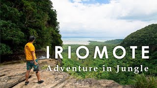 Real jungle adventure in Japan - Iriomote Island