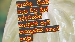 පැලවල මුල් අද්දන්න නැතුවම බැරි කොහුබත් ගෙදරදීම හදමු. How to make coco peat.