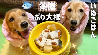 【手作り犬ごはん】犬に薬膳ぶり大根を手作りしたら美味し過ぎて争奪戦