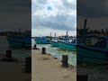 mallipattinam fishing harbour 🎣 beach fishing harbour mallipattinam