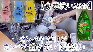 海外の洗剤で多量の食器洗いに奮闘する｡｡#asmr #cleanwithme #설거지 #キッチンリセット #癒し #食器洗い