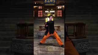 感受太极拳的力量与美感，让你在动静之间获得全面提升 #taichi #taichiquan #kungfu #wushu #martialarts #taiji #taijiquan #太极 #太極拳