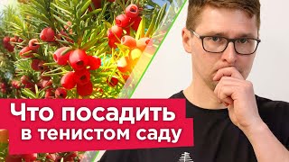 САМЫЕ КРАСИВЫЕ КУСТАРНИКИ ДЛЯ ТЕНИ! Порадуют цветением и яркой зеленью в любом уголке вашего сада