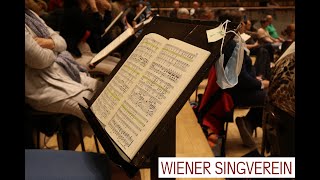 Schön, wieder da zu sein | Wiener Singverein