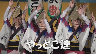 舞台踊り「下北沢やっとこ連」第47回経堂まつり阿波踊り（2023.7.22）