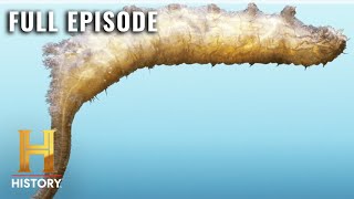 The Proof Is Out There: Terrifying Amorphous Alien (S2, E27) | Full Episode
