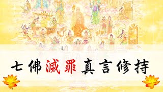 國語有聲善書【每日經咒】七佛滅罪真言 108遍修持  (每日持誦可消業障)