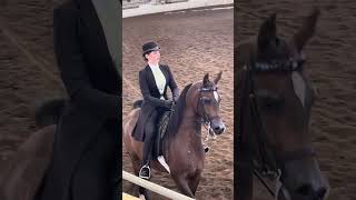 NSH 2023 Arab equitation   B Wheir KP