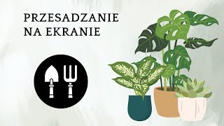 Przesadzanie na ekranie 🌱🌱🌱